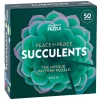 Professor Puzzle Peace By Peace: Succulents| Knep & Knåp