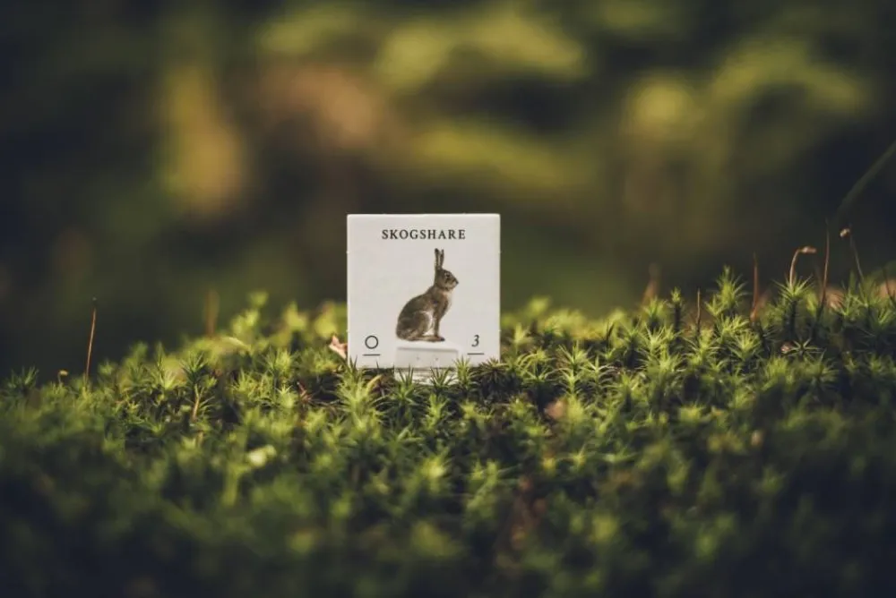 New Ninja Print Skogen