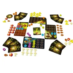 Outlet Blue Orange Wonder Woods